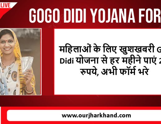 GoGo DiDi Yojana Form