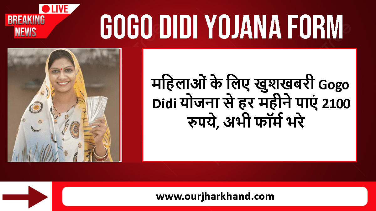 GoGo DiDi Yojana Form