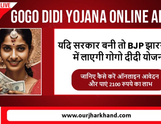 GoGo DiDi Yojana Online Apply