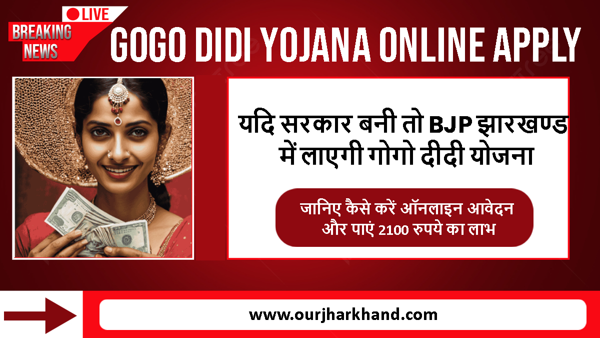 GoGo DiDi Yojana Online Apply