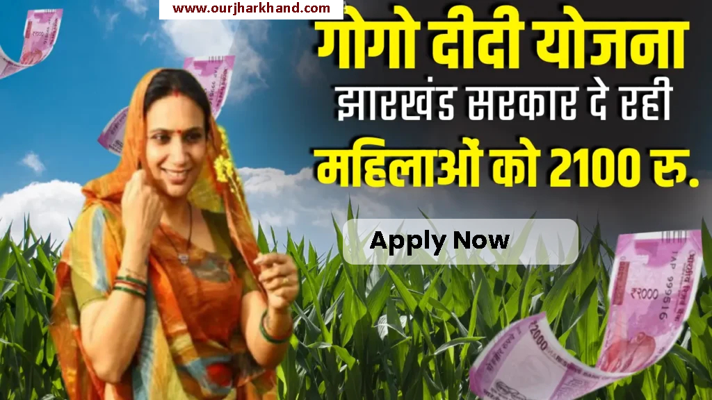 GoGo DiDi Yojana Jharkhand Website Details