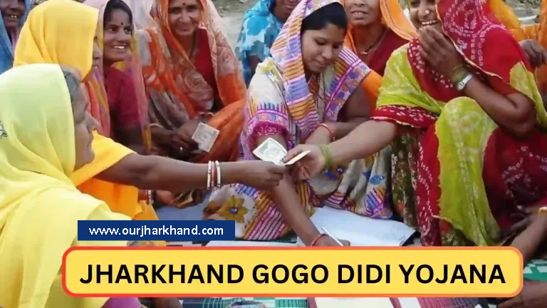 GoGo DiDi Yojana Jharkhand Online Registration Details