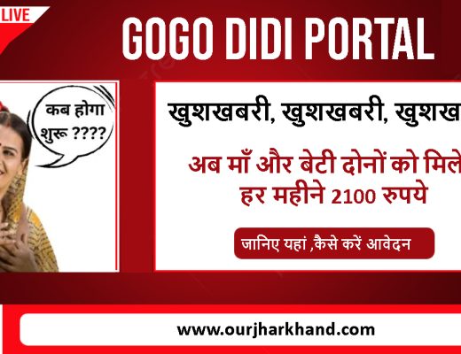 GoGo DiDi Portal