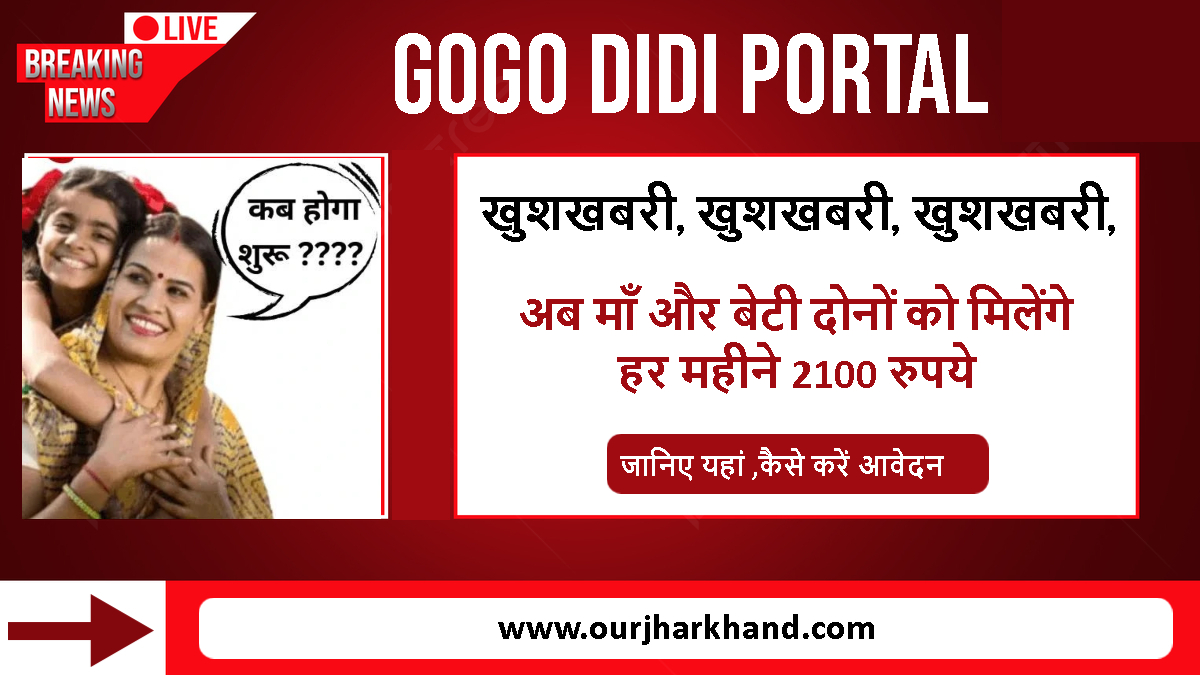 GoGo DiDi Portal